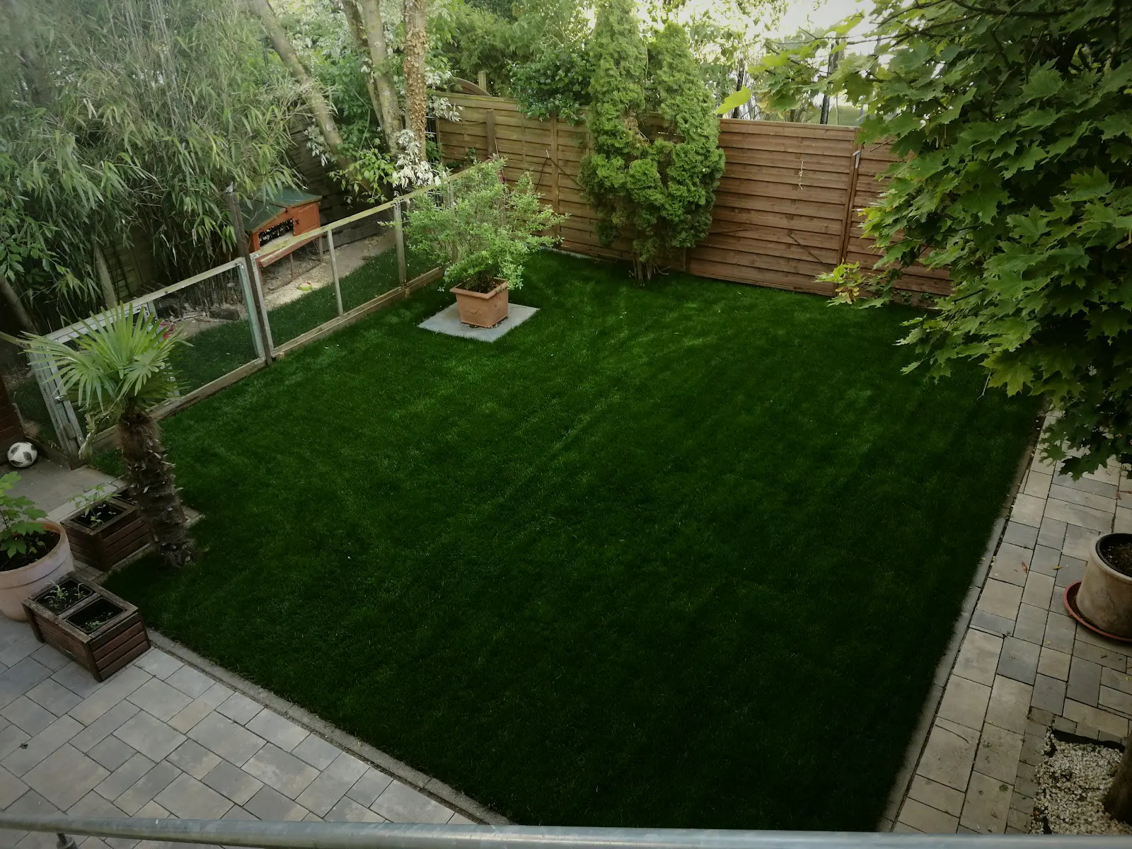 Frisch verlegter Rollrasen in einem Garten mit umlaufender Pflasterkante und Sichtschutz